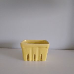 Anthropologie Berry Basket